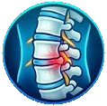 Columna vertebral